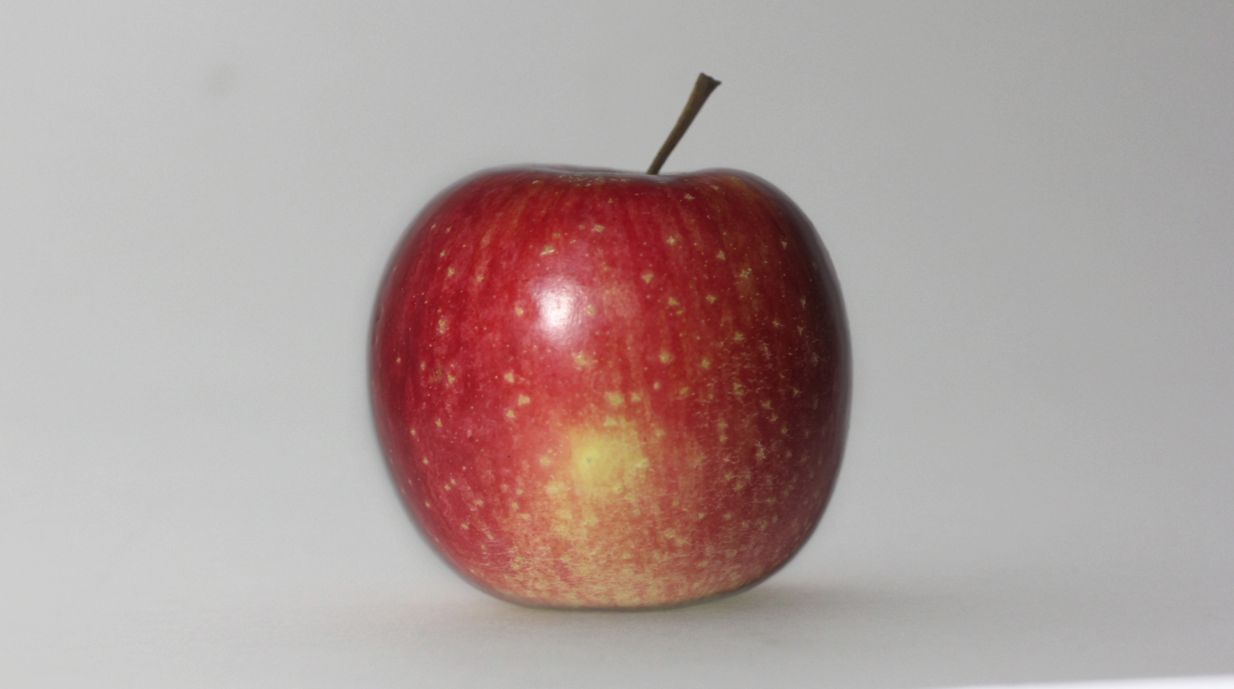 HHS-TimeSculpting-Project-Apple05