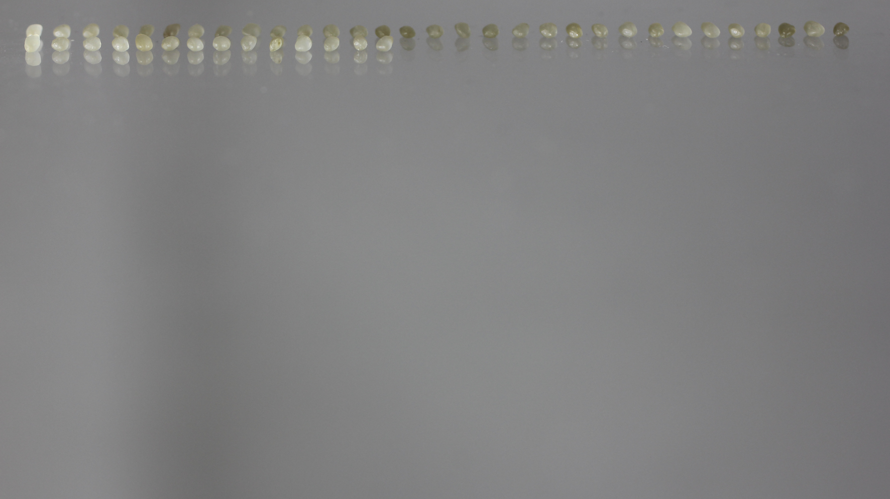HHS-Time–Sculpting_Project-_Rice_03