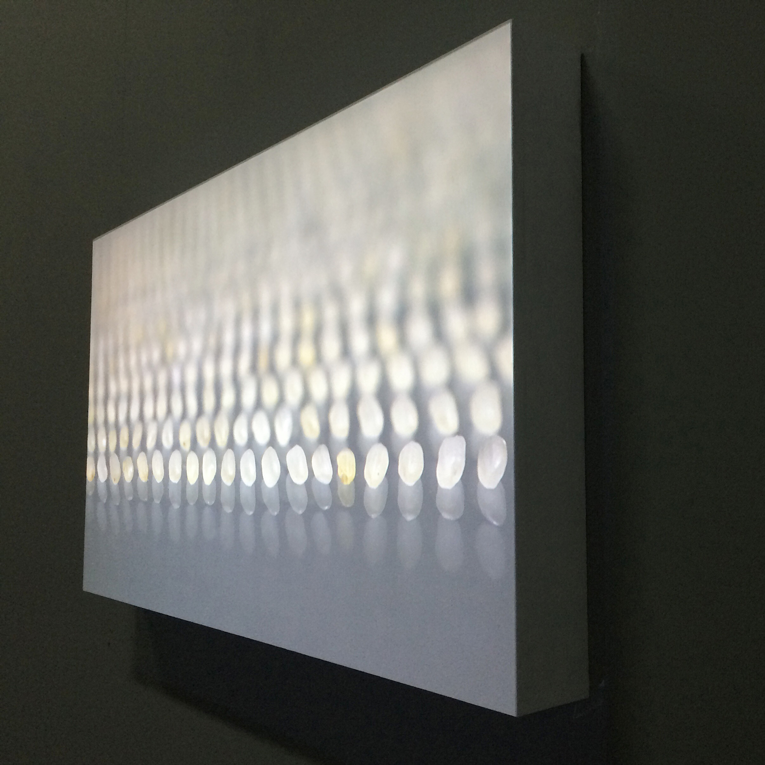 HHS-Time–Sculpting_Project-_Rice_08