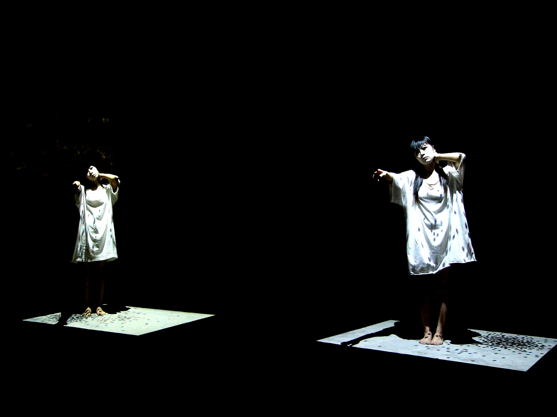 LPY-LIMIT-02