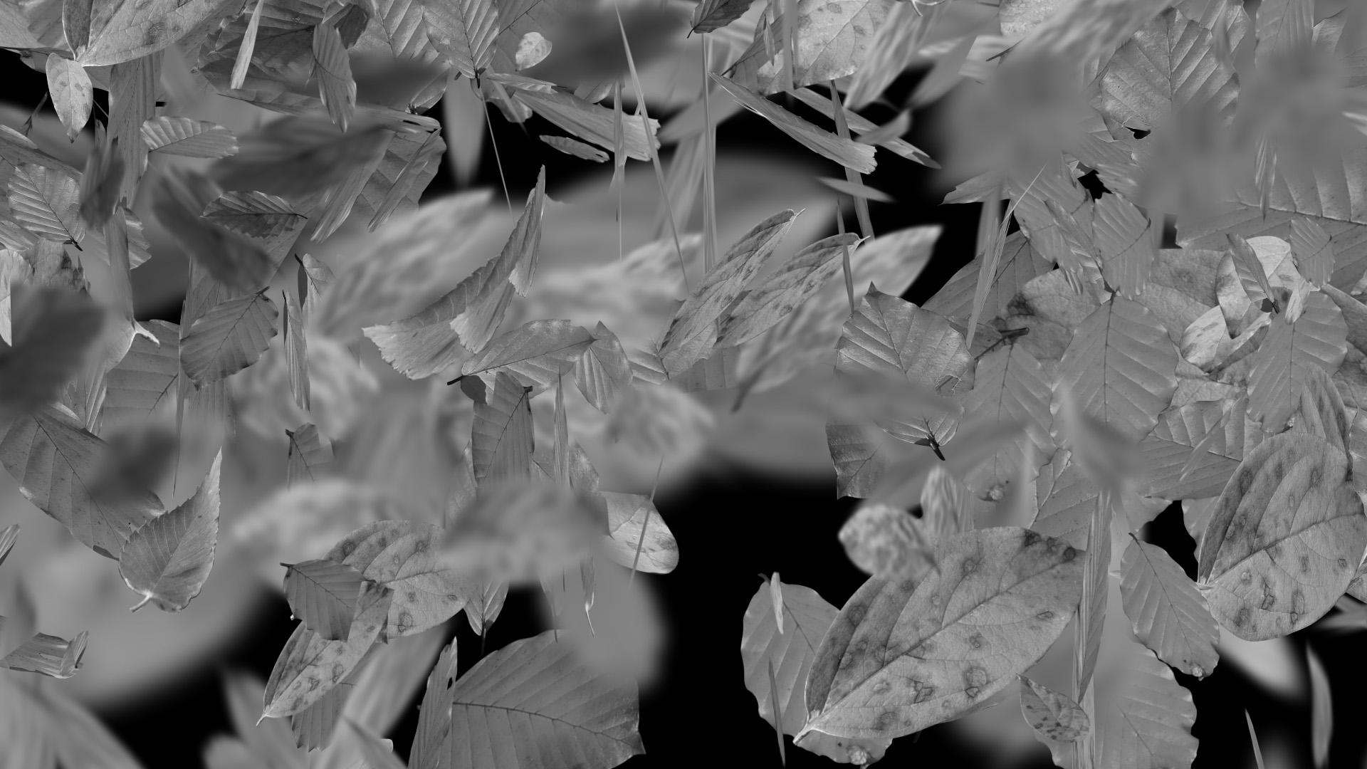Leaves