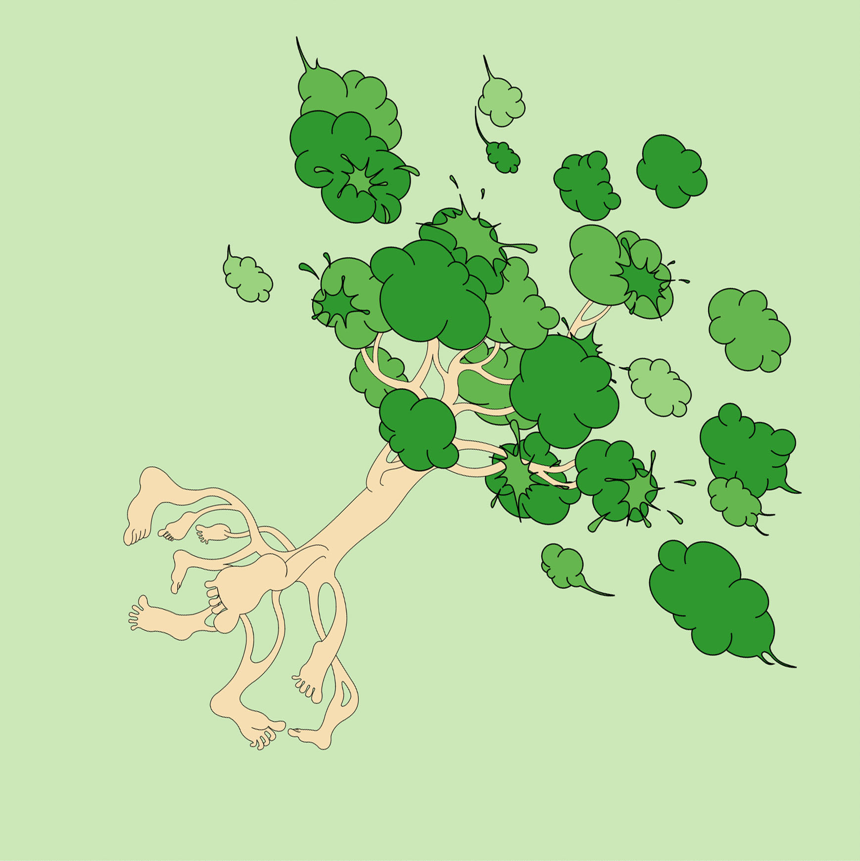 My-Dear-Tree
