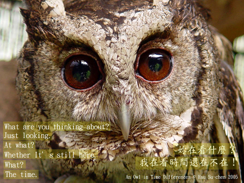 an_owl_in_time_01