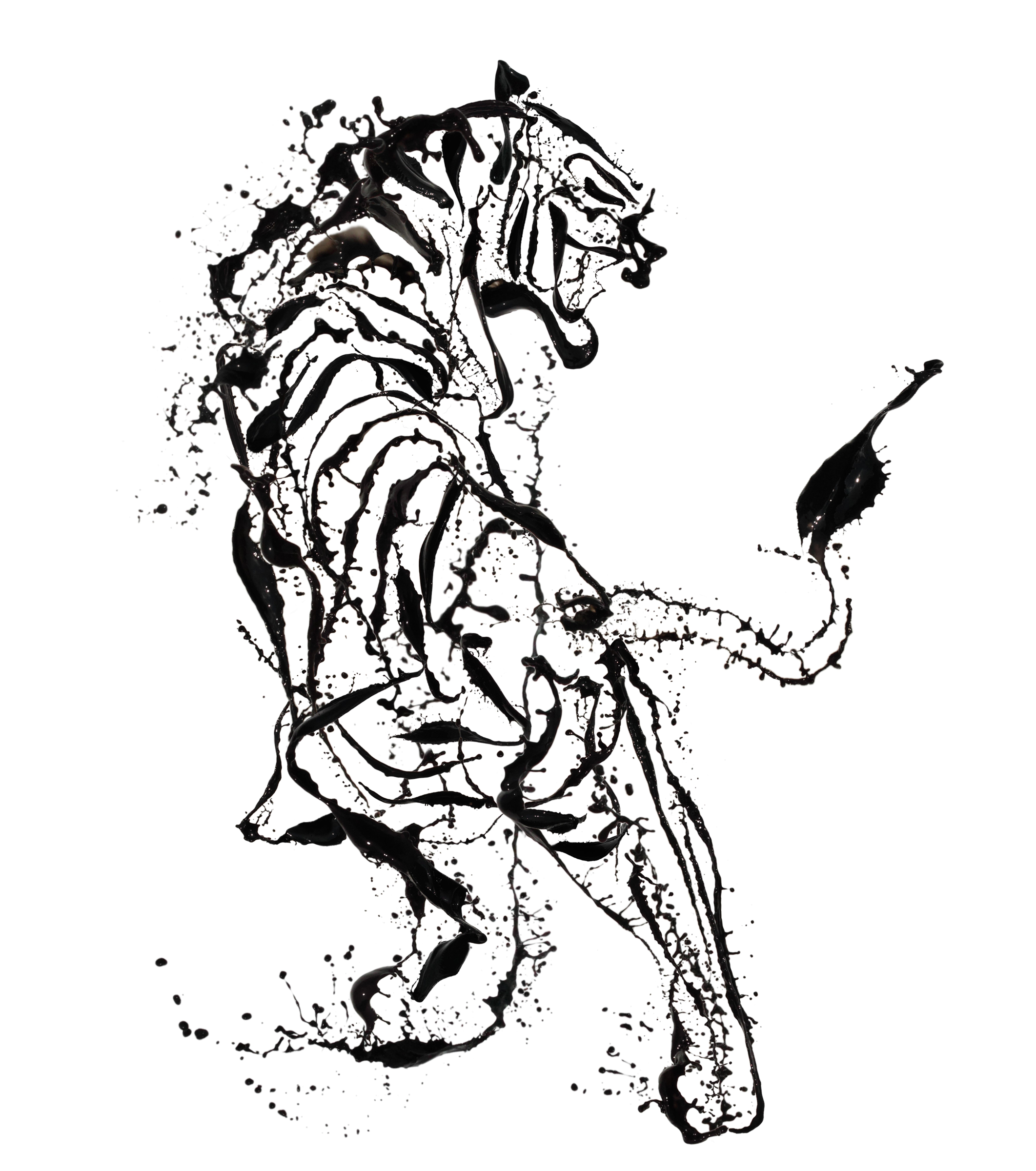 白虎迎風圖