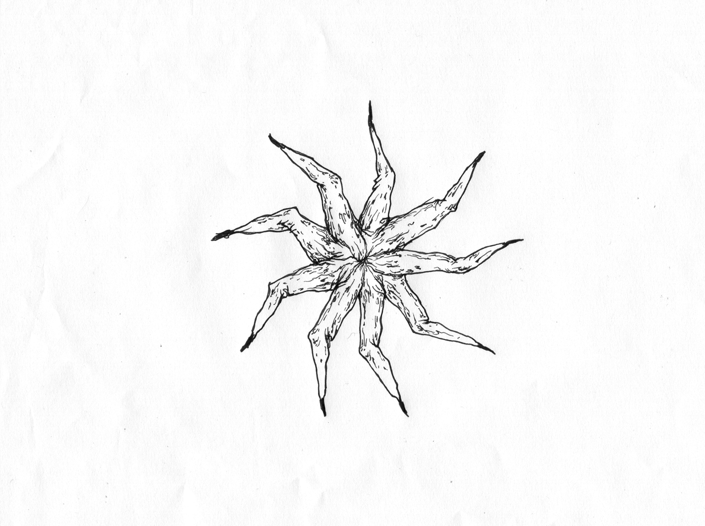 《影像日誌系列：-信義誠品eilste-Art-Studio-》5-series-影像截圖-PINA