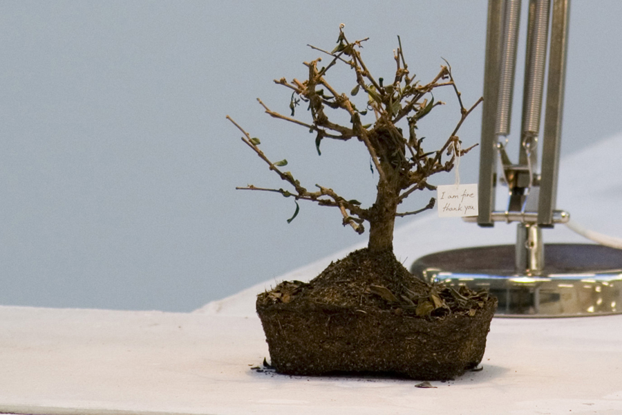 救援計畫一號12