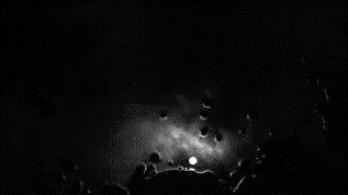 林冠名_作品明細-14