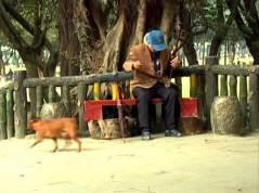陶醉