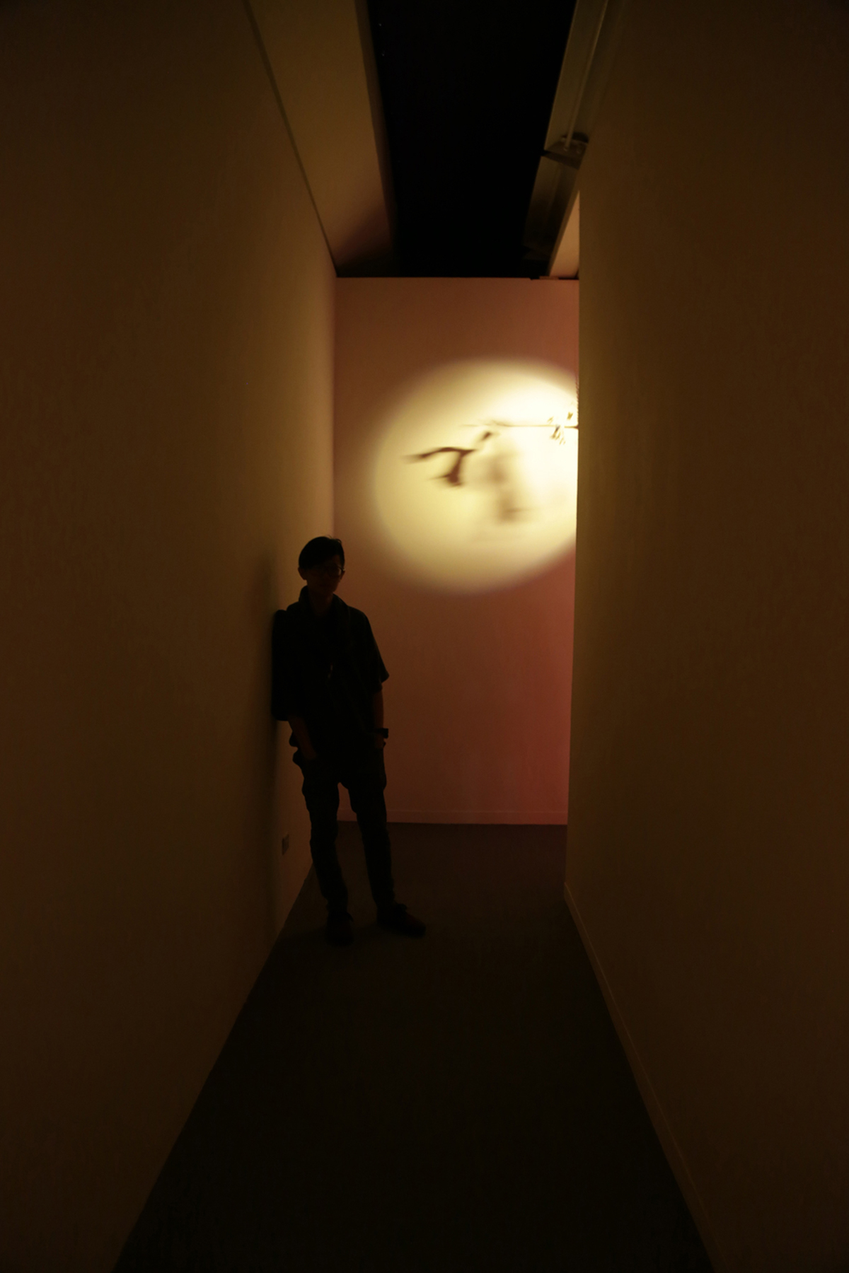 紙人展-動畫裝置-3