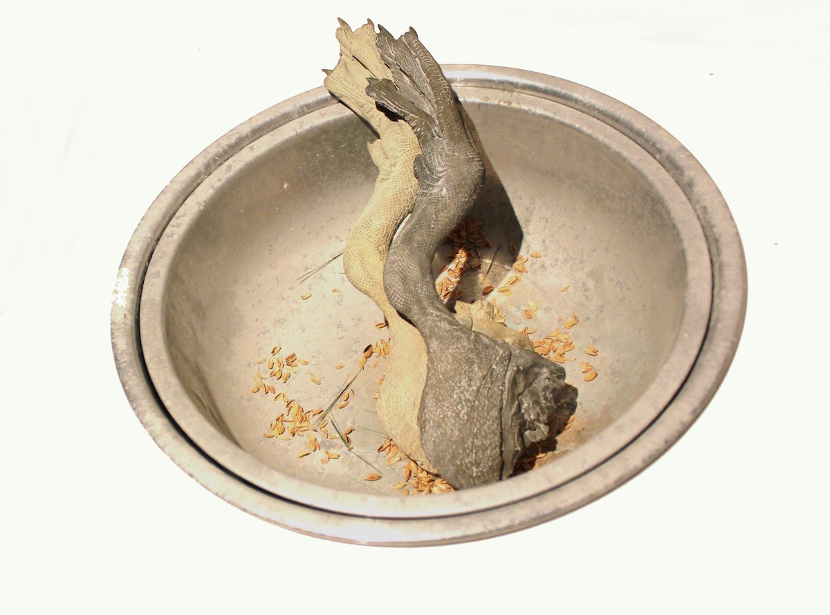 DYH-SL-No.4-1_鄧堯鴻-剩餘與蔥翠-No.4-1