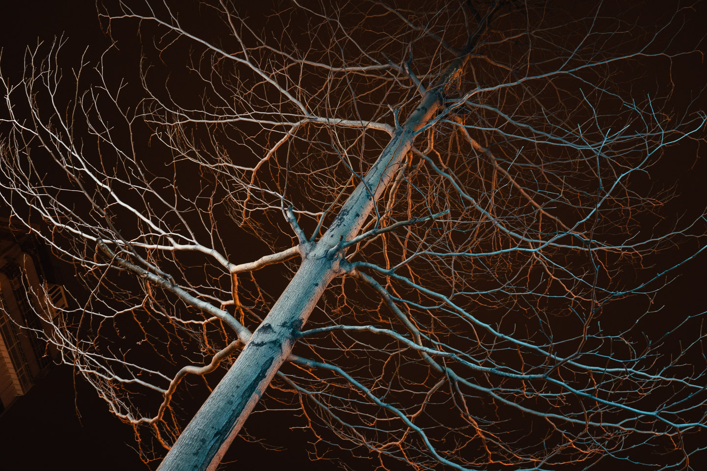 Listening_to_The_Dark-08