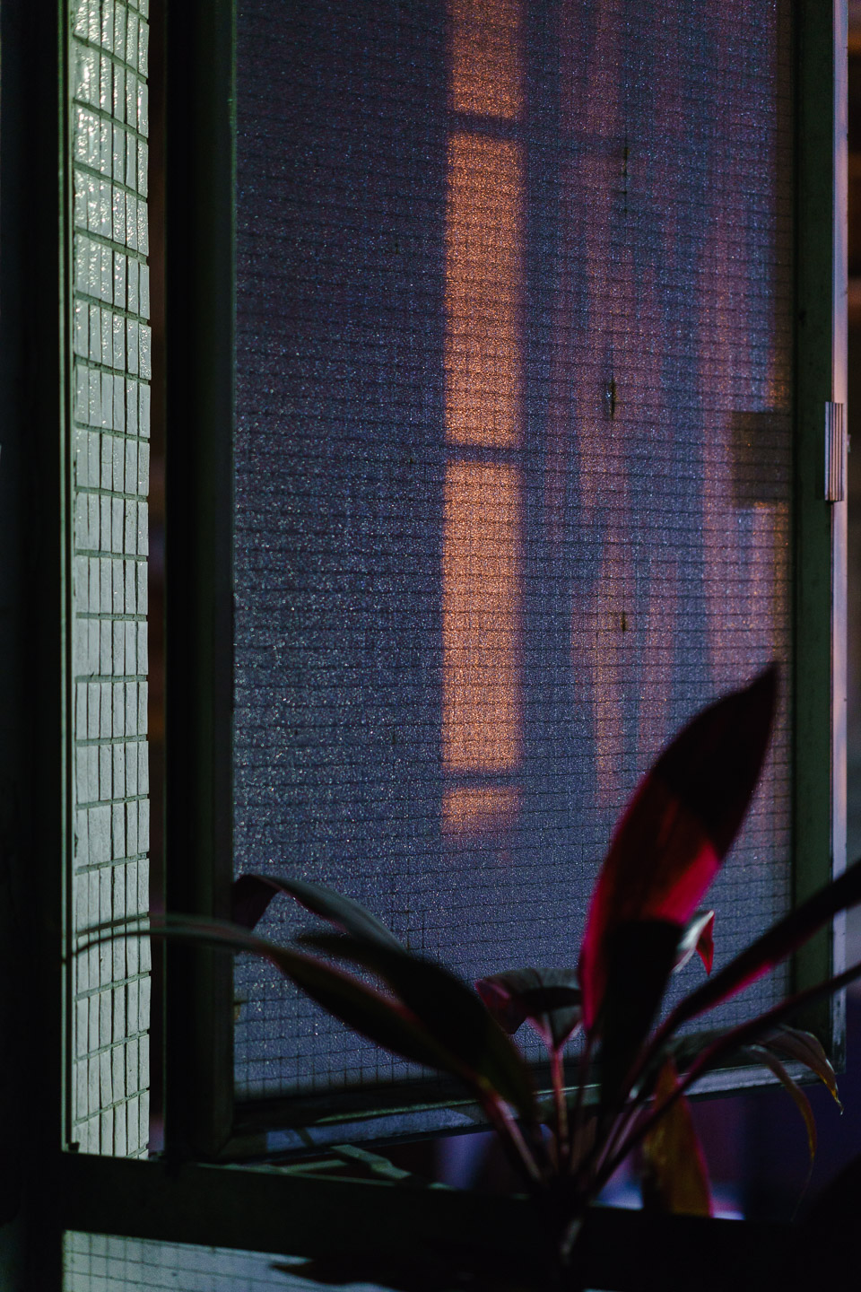 Listening_to_The_Dark-16