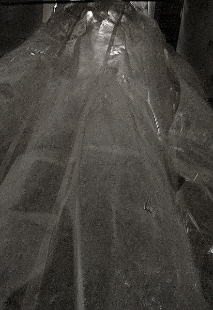 五十公尺長的光