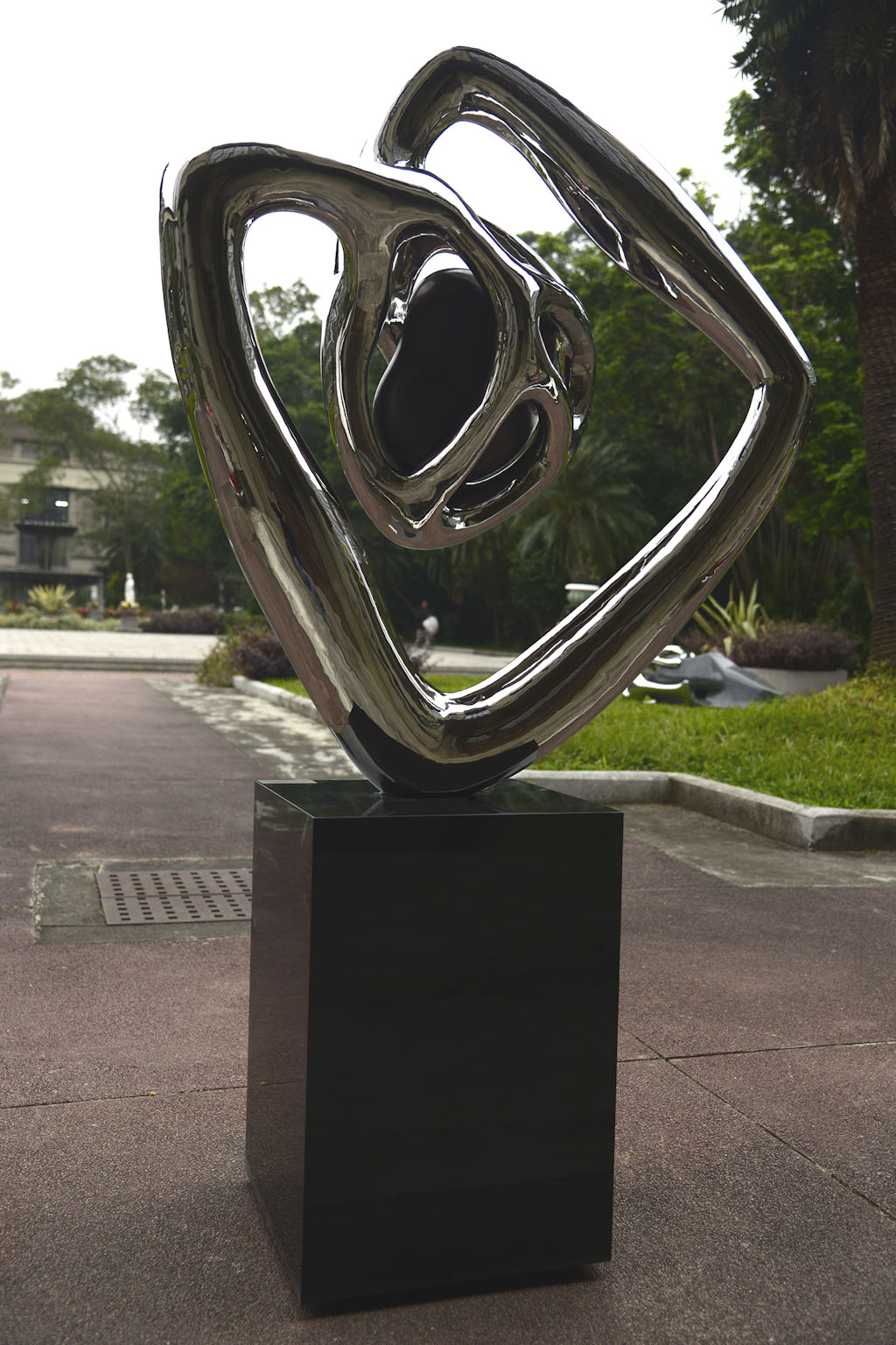 DNC6579_1