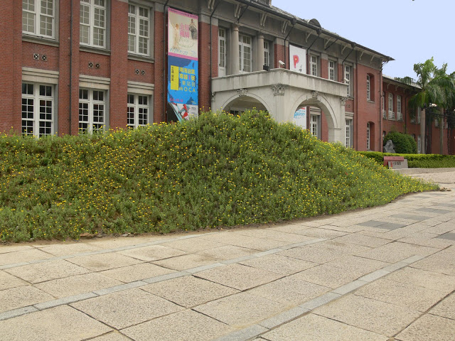 P1100737c