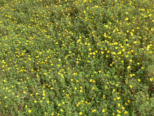 P1100878