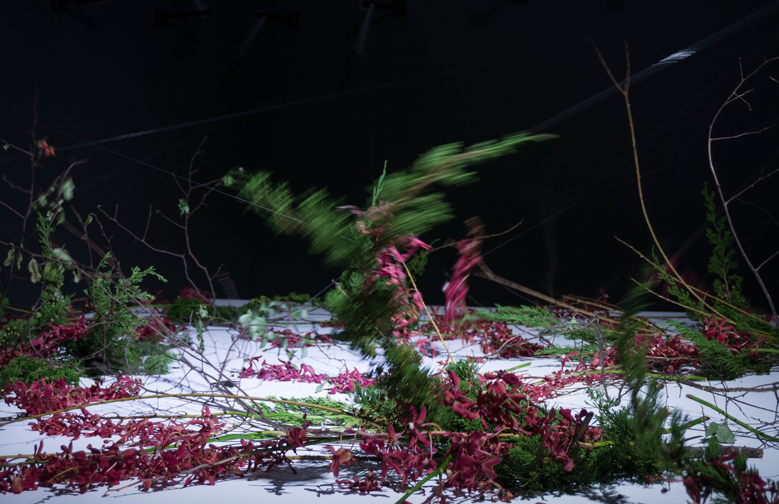 20151118-dsc01518_orig