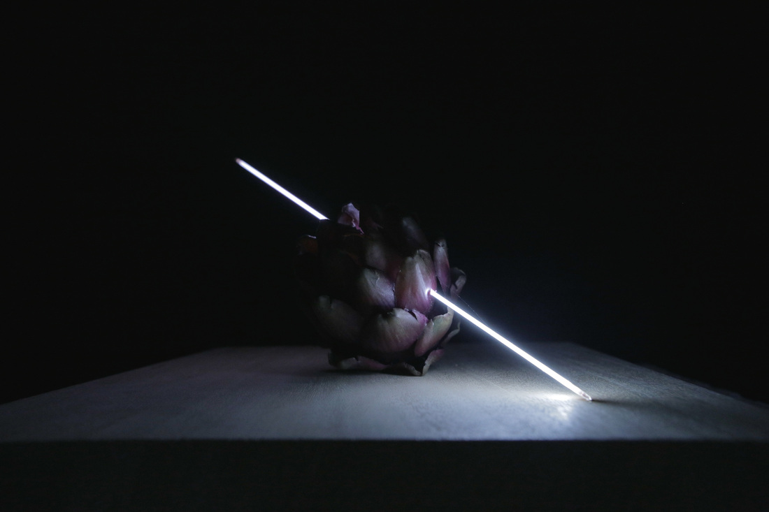 2660513_orig