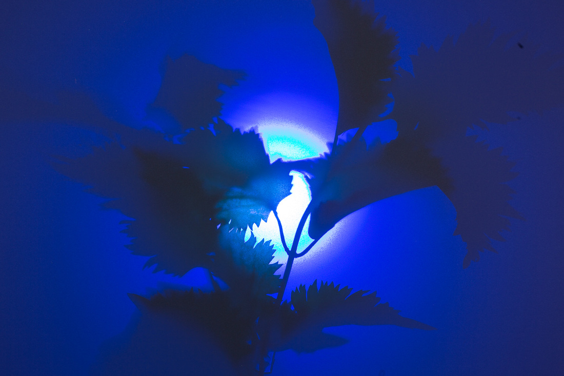 4078075_orig