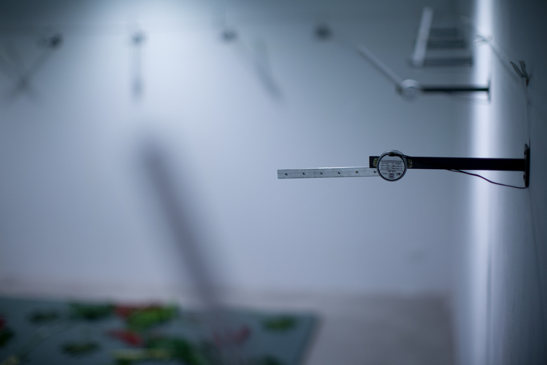 5265260_orig