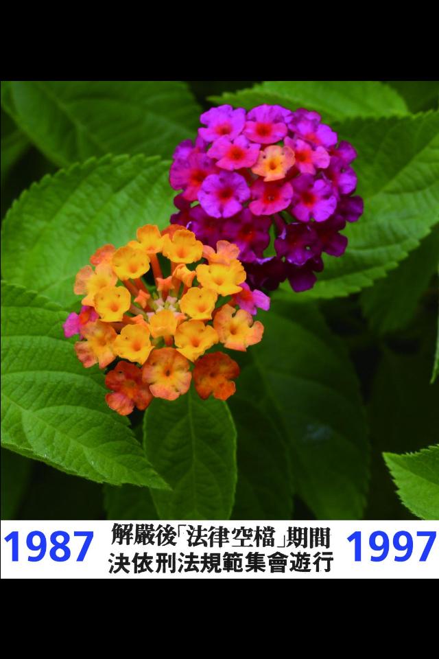 CCP-19871997-06