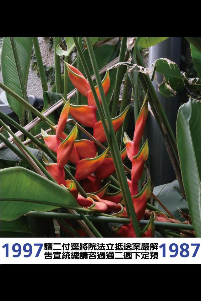 CCP-19871997-07