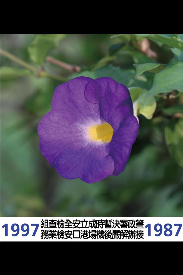 CCP-19871997-08