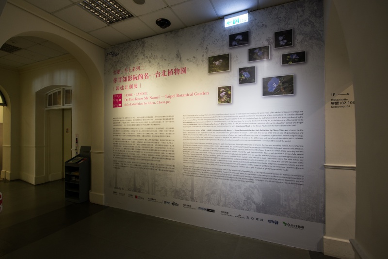 Image-CCP-dukmn-01