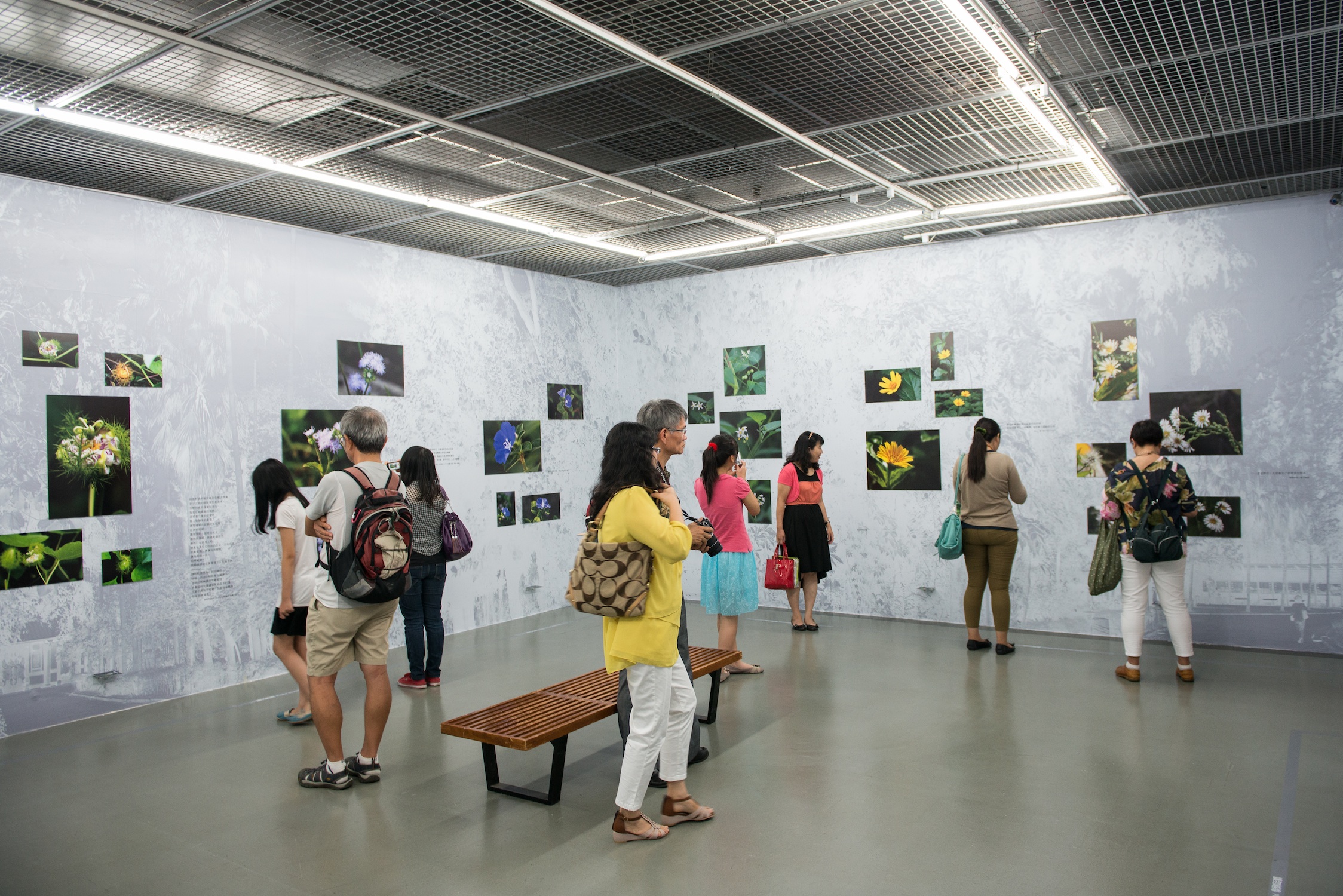Image-CCP-dukmn-04