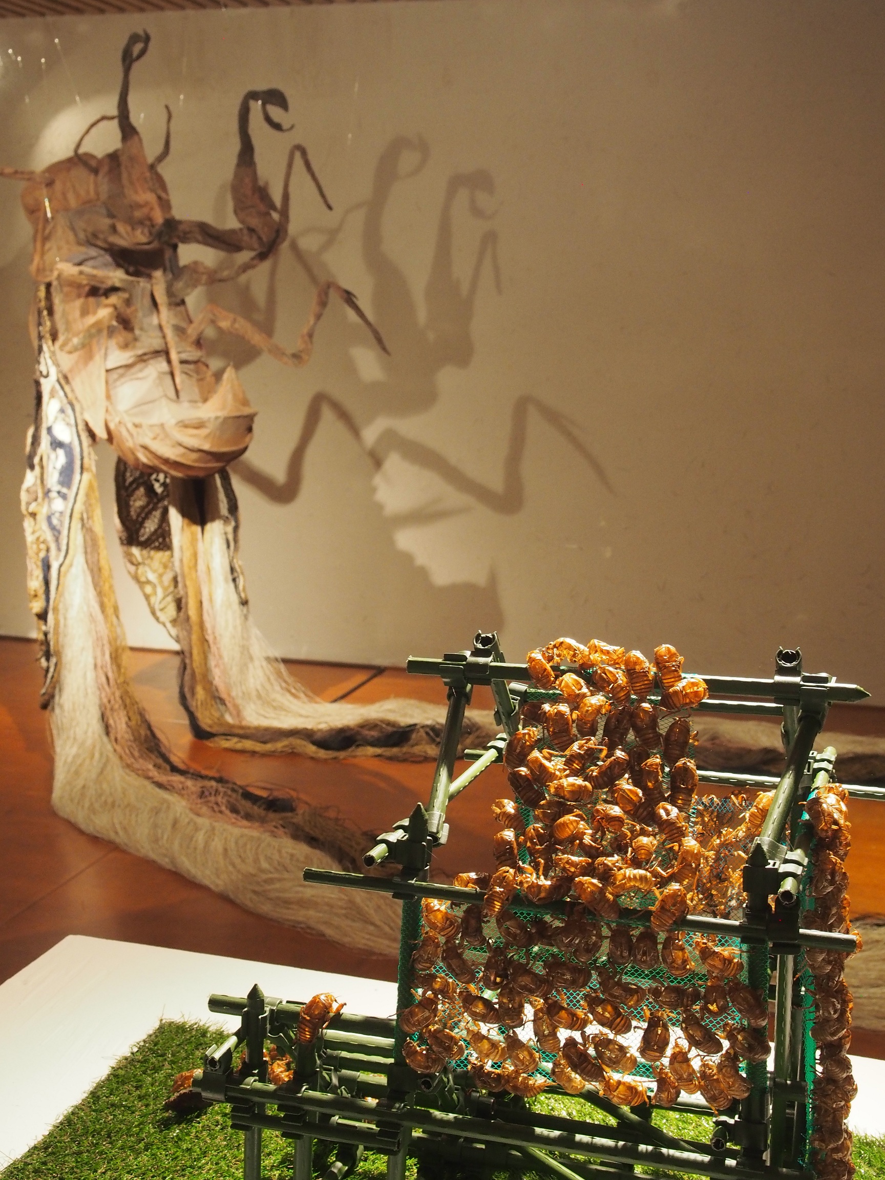 Silk-Semi-Sen-installation
