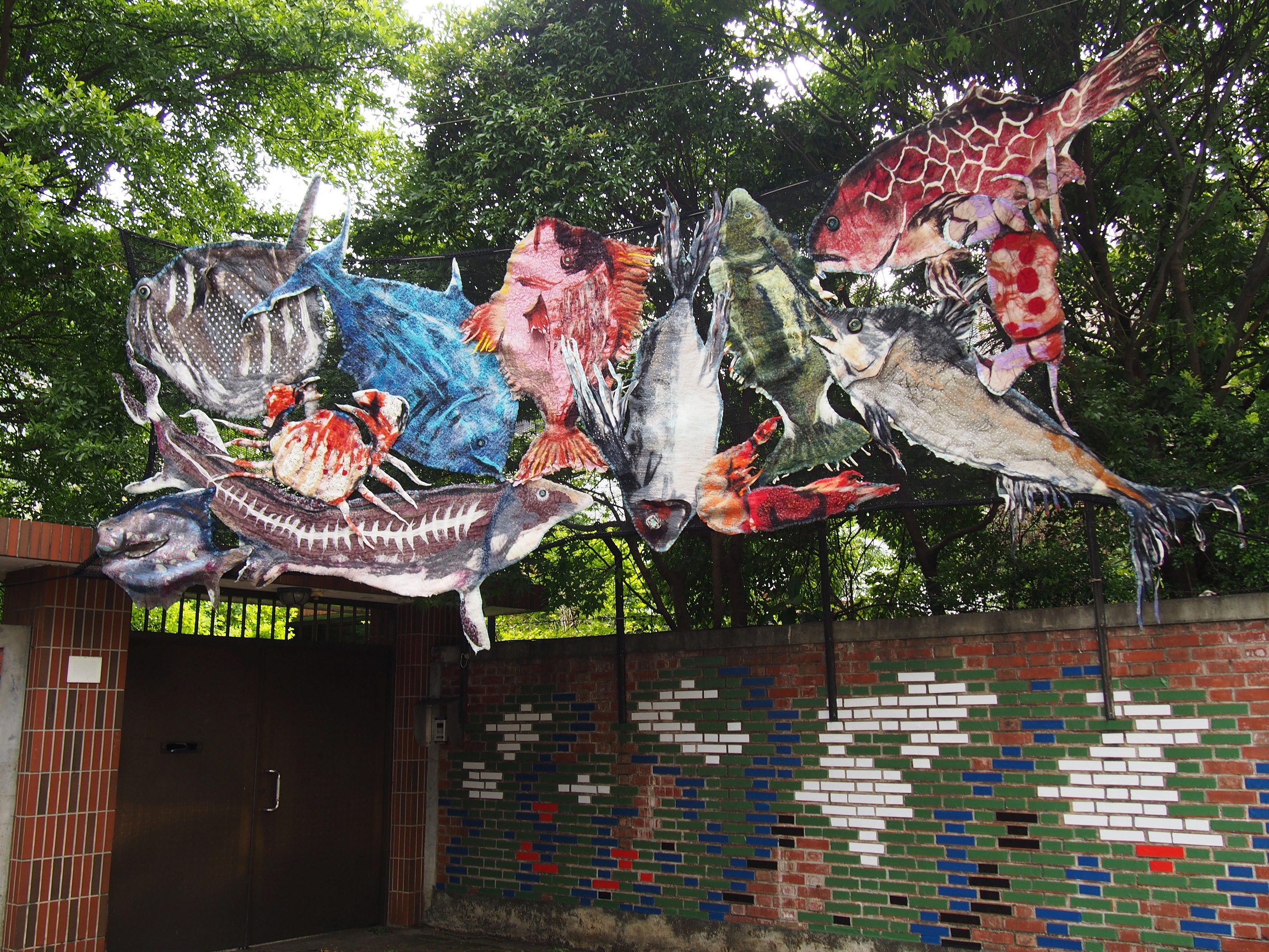 Sun Dried Fish