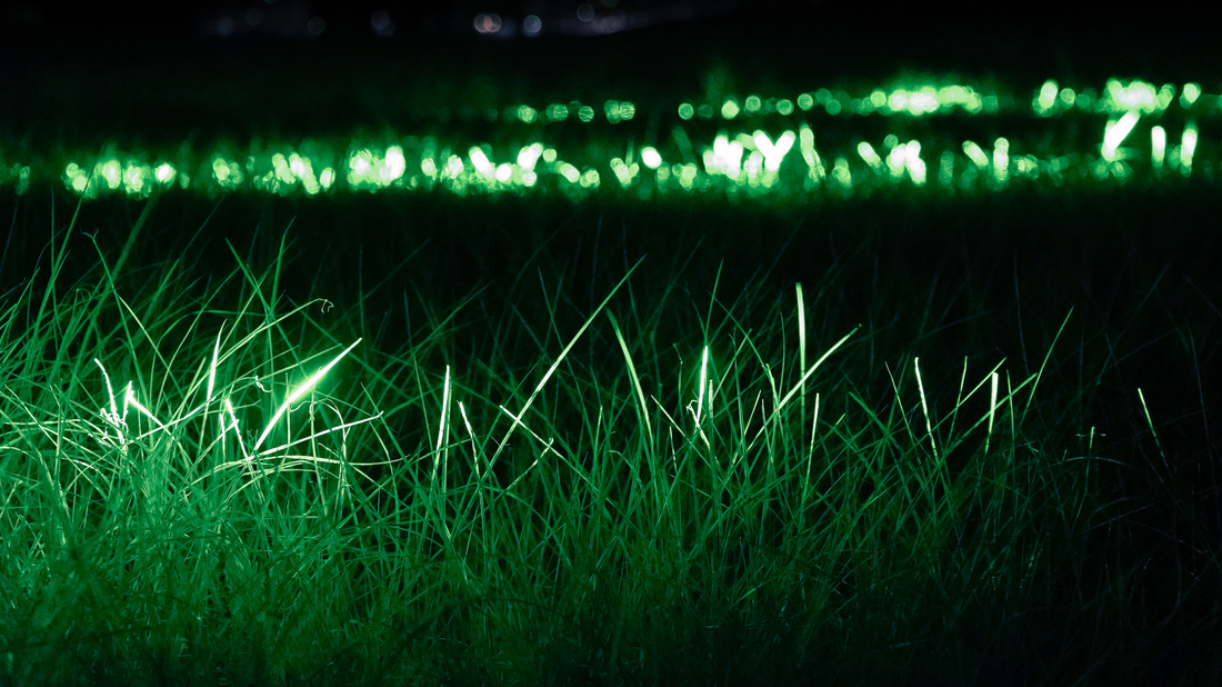 grassland-chuang-chih-wei-4_orig