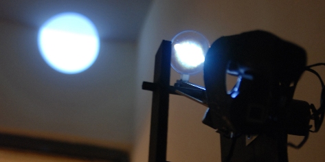 光體 - 光之生物