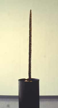 TYI-BNo3-02