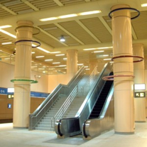 進化的軌跡