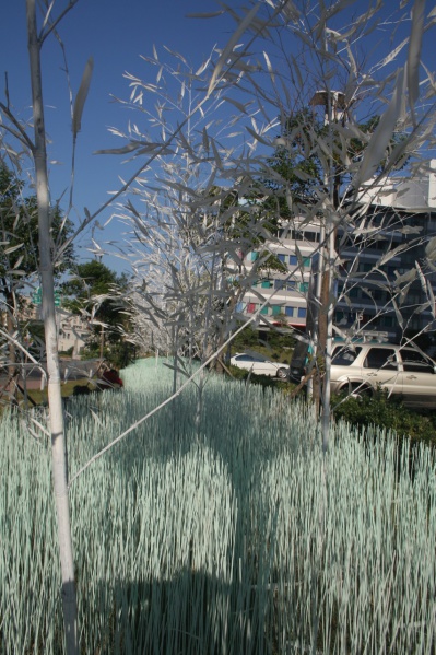YWF-bm-02