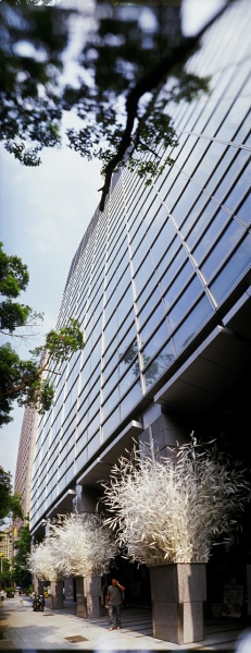 YWF-bss-03