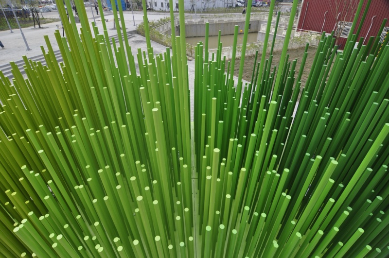 振秧