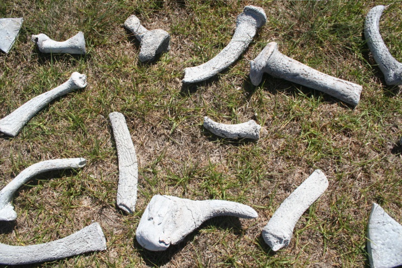 YWF-k-05