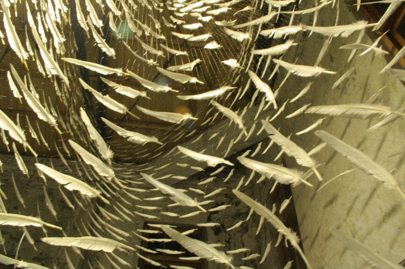 YWF-s-04