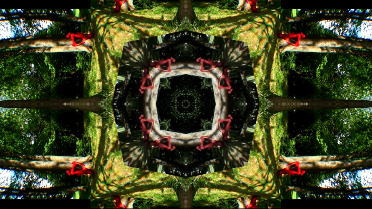 YYL-kf02