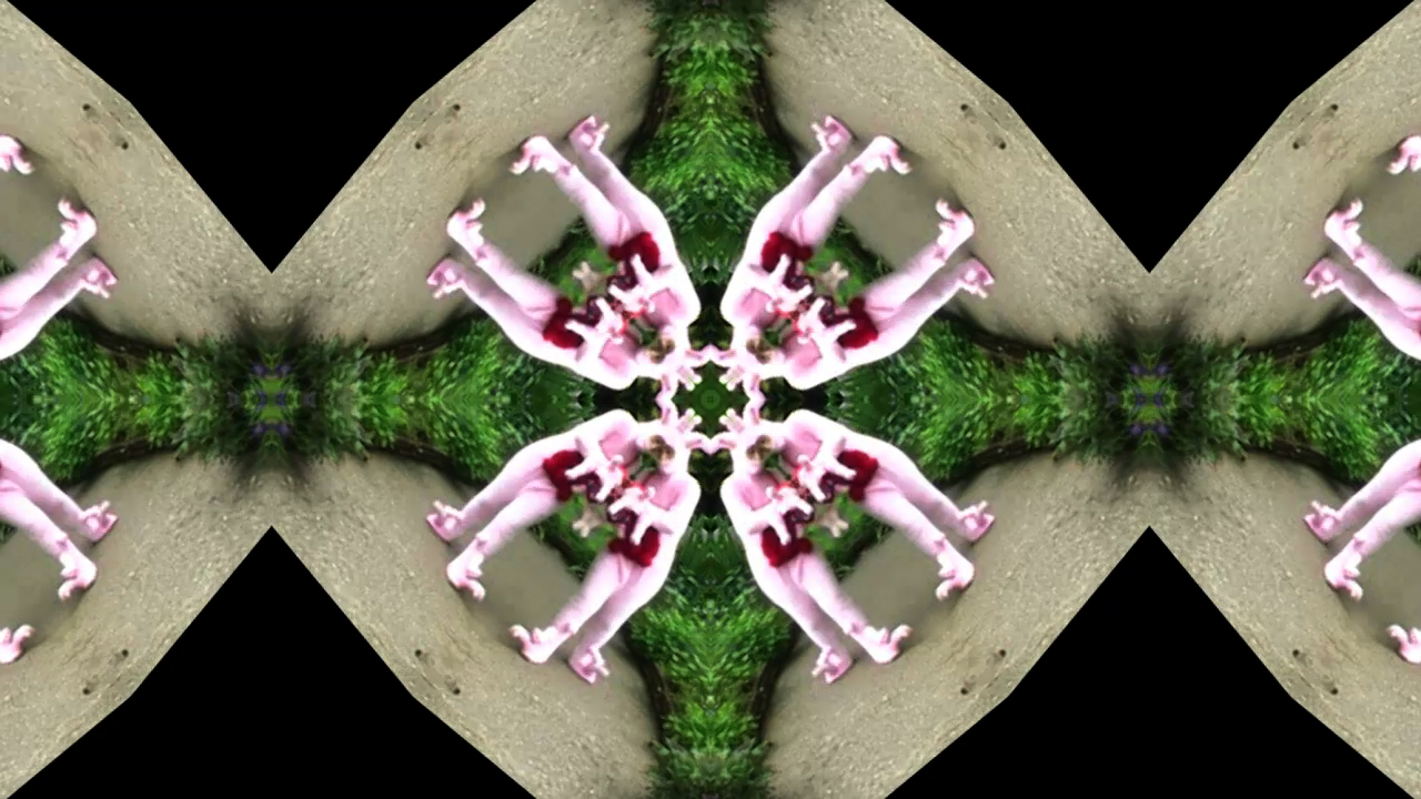 YYL-kg204