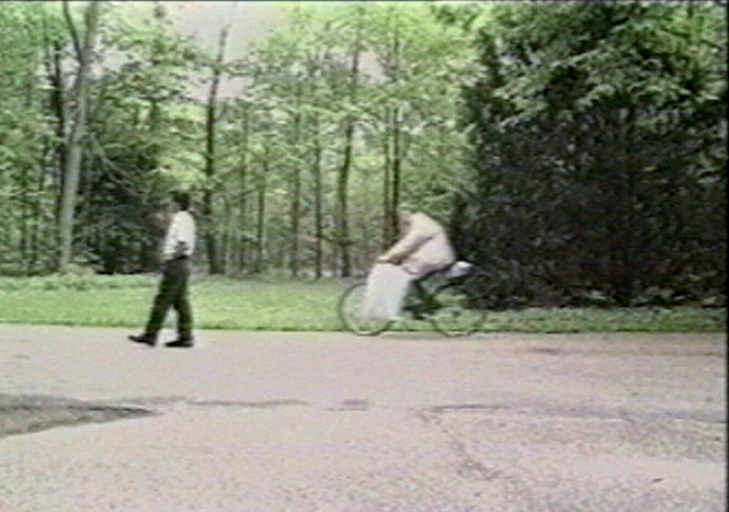 41