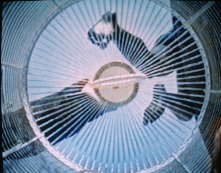 764px-The_Cage-3