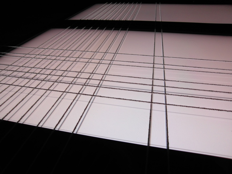 SPP_Texture-2