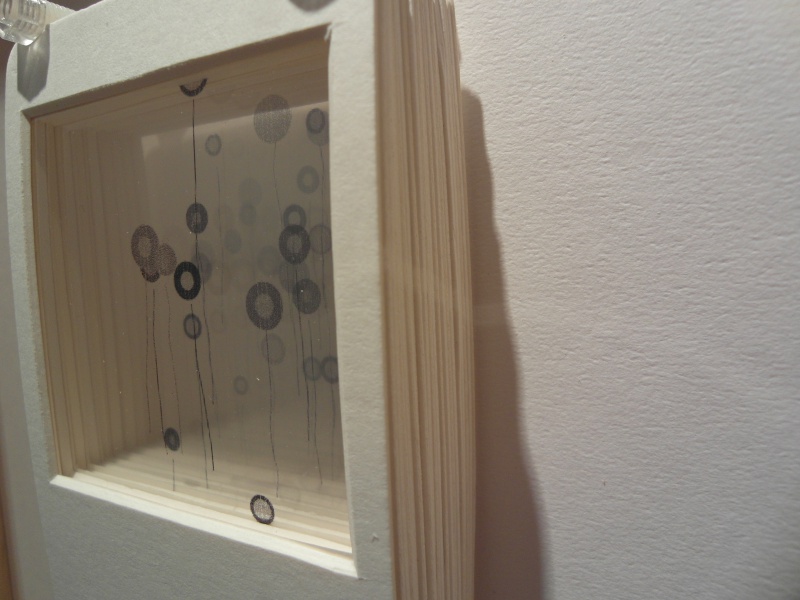 SSP-Frames-8