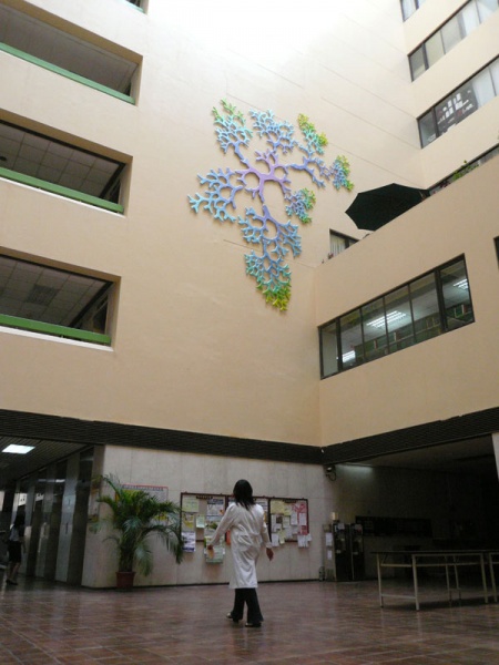 450px-HLY-C02