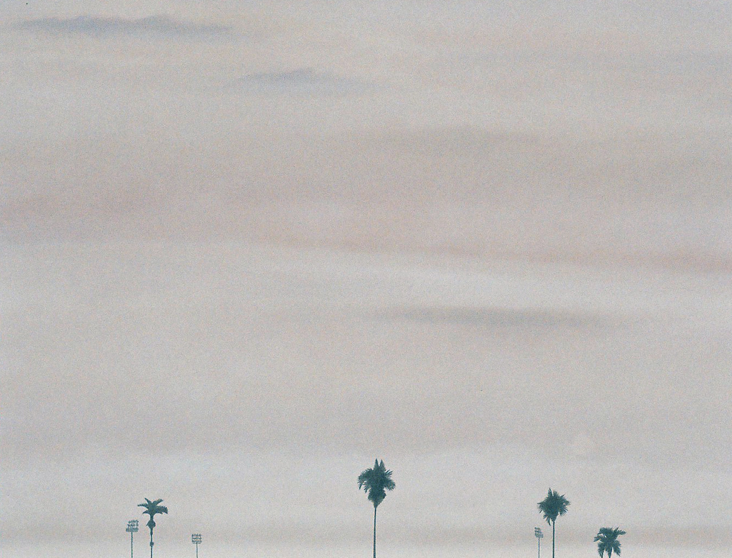 土地公應該不會介意吧