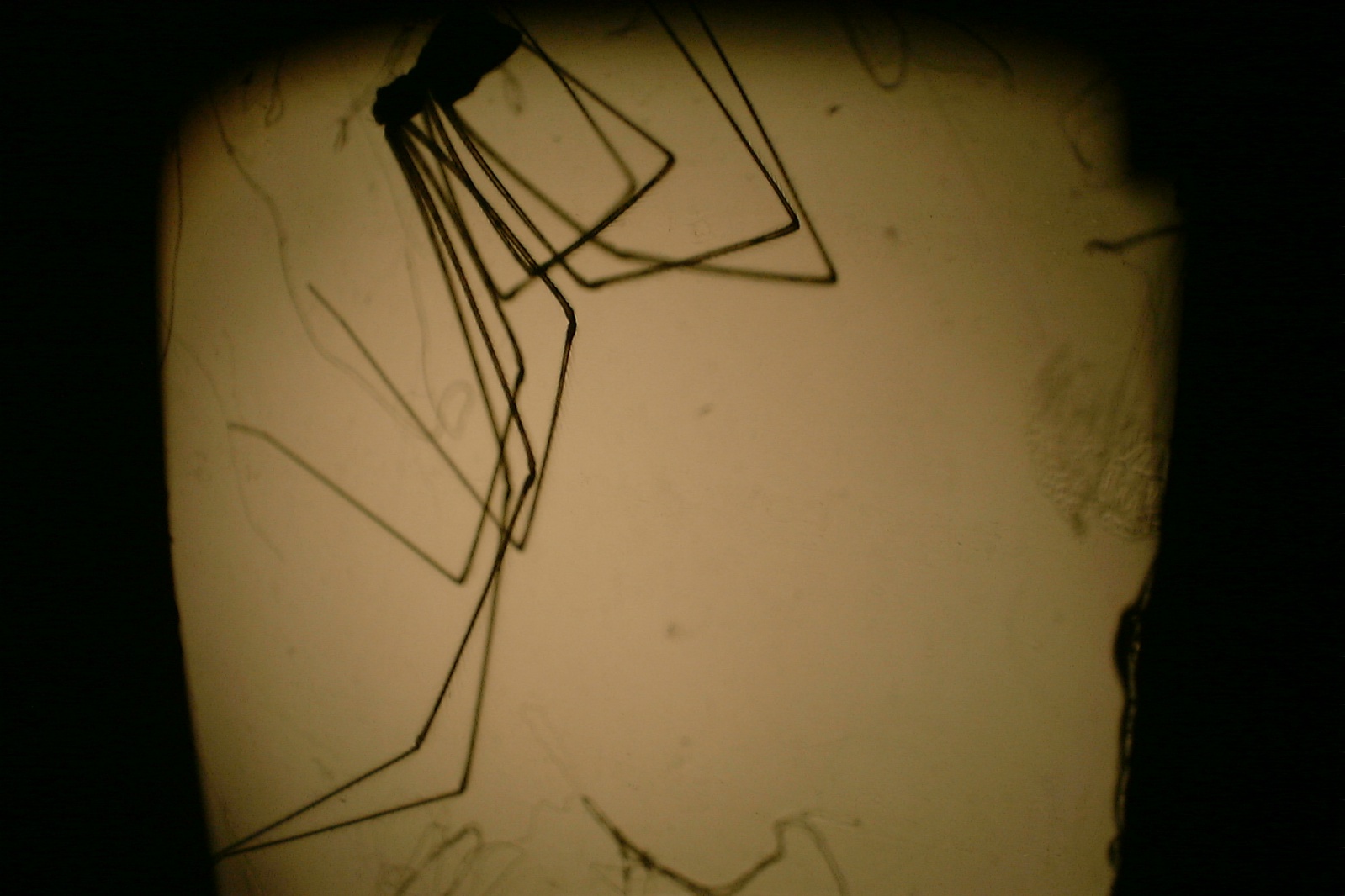 1599px-1DSCF0005