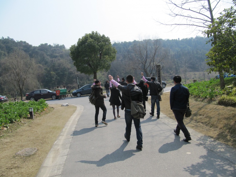 800px-HandsUp_4